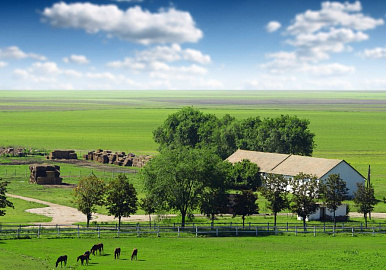 ТЕСТ БАРНАУЛ 2